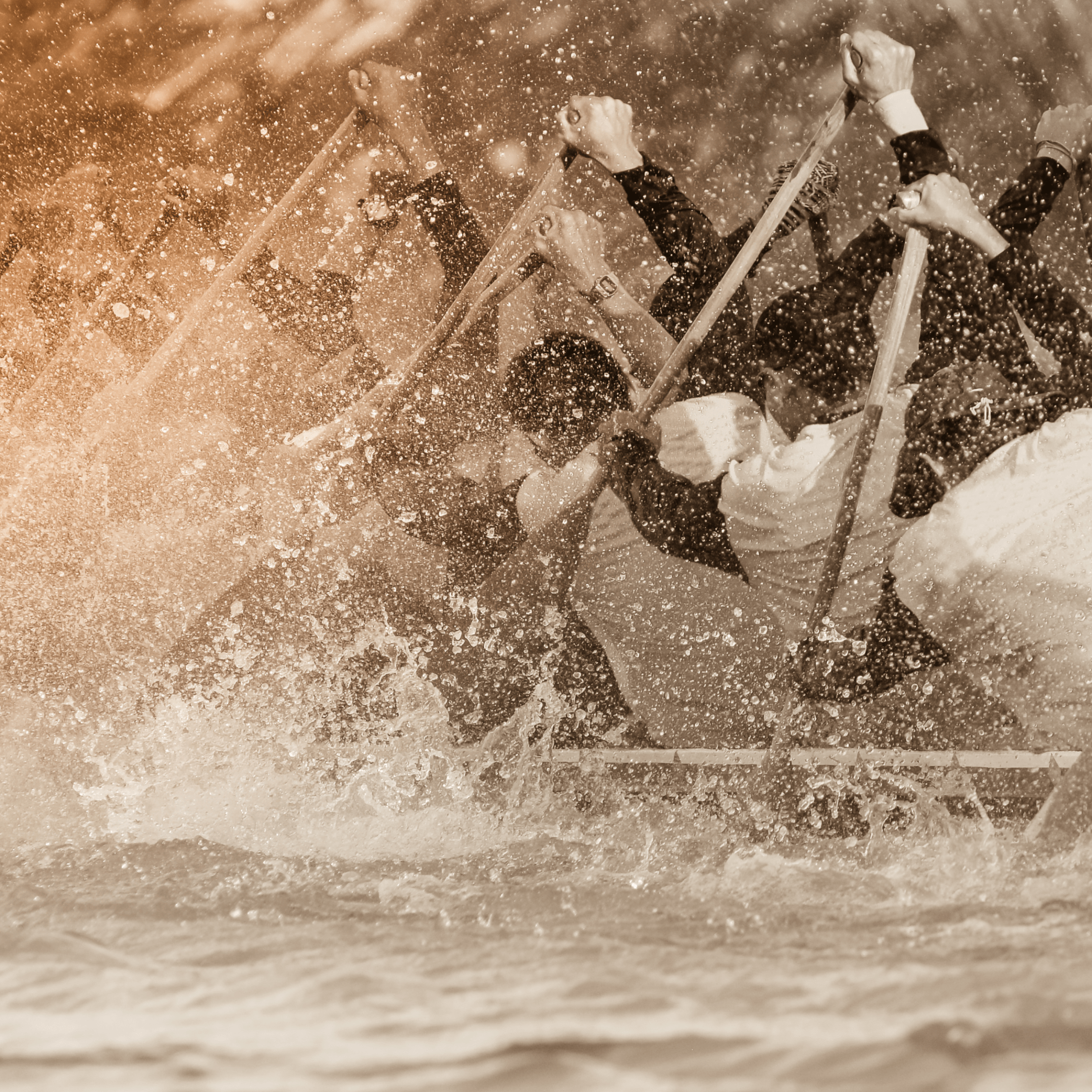 people rowing